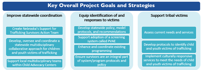Key Overall Project Goals and Strategies